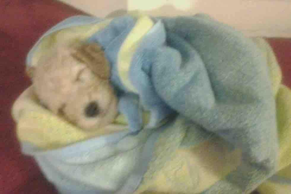 *La alarma suena 47 veces*

Yo: