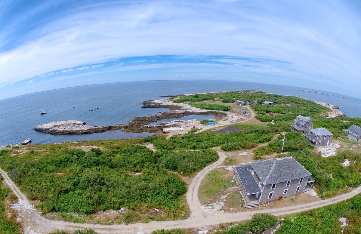 Did you hear the news? Shoals Marine Lab is looking for a new Executive Director! If you or someone you know would be a good fit for this role, please apply! 

Apply here: loom.ly/gRBJbqQ