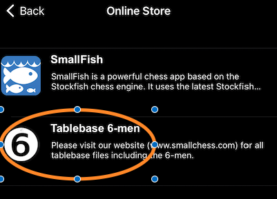 Chess application for Ipad - Stockfish Chess