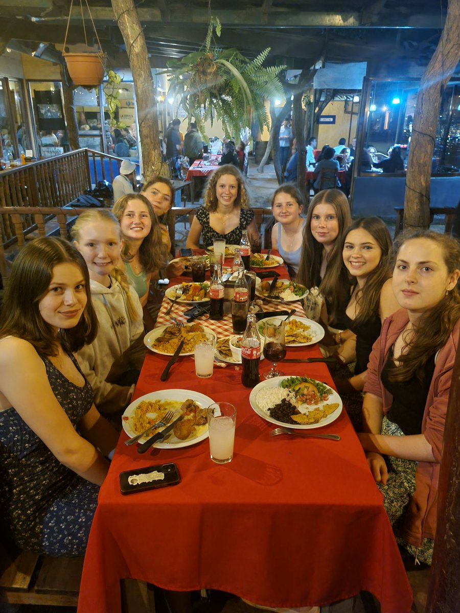 Tormead Biology tweet media