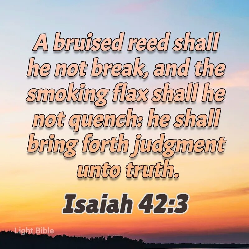 Act_Now7's tweet photo. A bruised reed shall he not break, and the smoking flax shall he not quench: he shall bring forth judgment unto truth. He shall not fail nor be discouraged, till he have set judgment in the earth: and the isles shall wait for his law. Isaiah 42:3, 4. https://t.co/owxy3q2YZ0