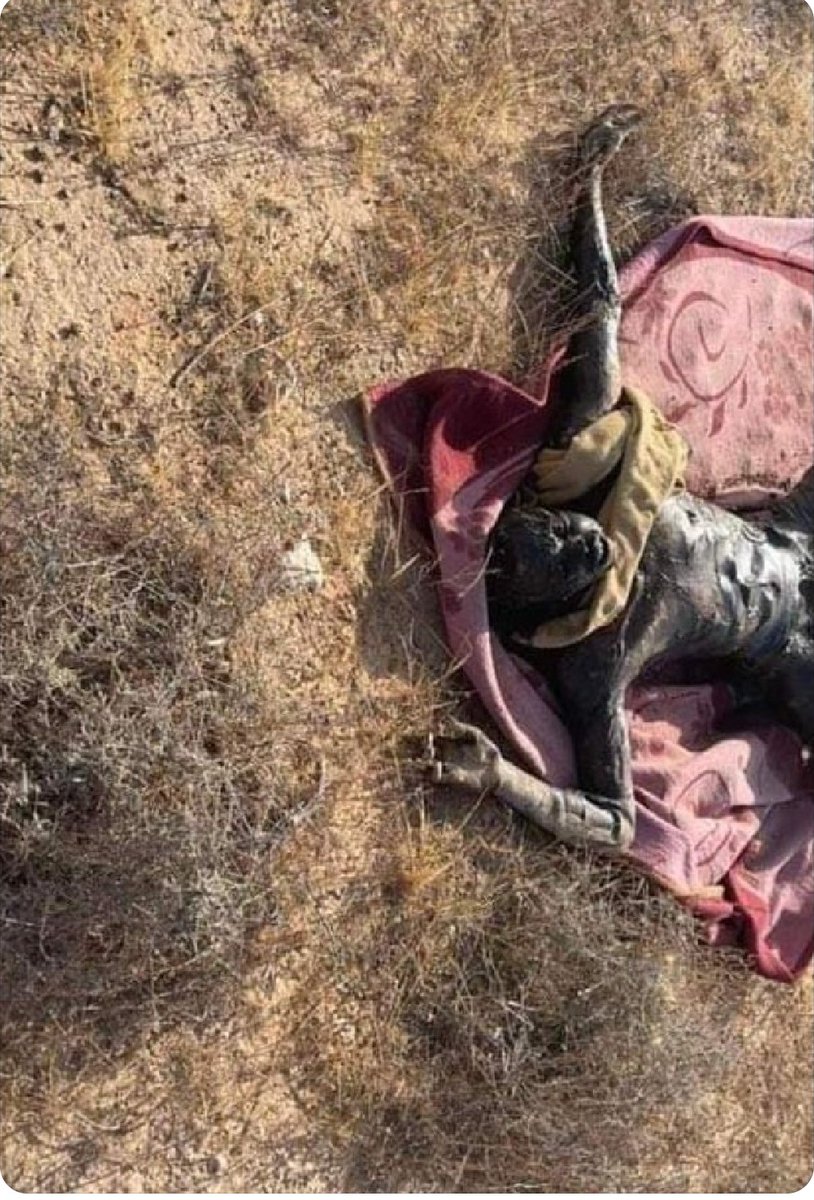 Tanekalouit-Touraouet ⵜⵏⴽⵍⵡⴷⵜ ⵜⵡⵔⵡⵜ tweet media