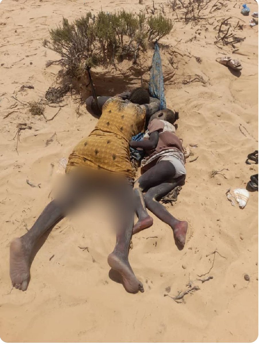 Tanekalouit-Touraouet ⵜⵏⴽⵍⵡⴷⵜ ⵜⵡⵔⵡⵜ tweet media