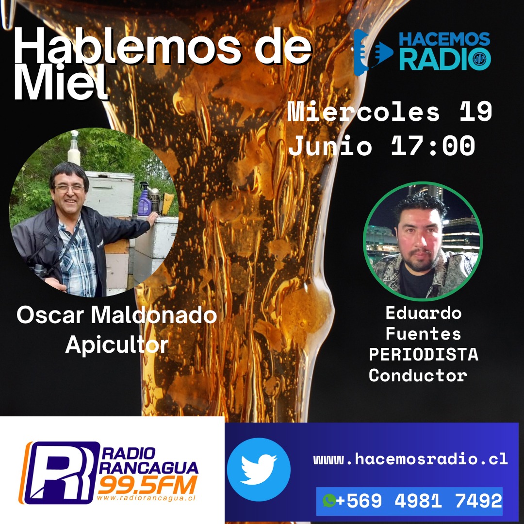 chilemiel's tweet image. Hablemos de miel !! en #rancagua @RadioRancagua Gracias a #EduardoFuentes #periodista de #radiorancagua Apoyando el mayor conocimiento de nuestro rubro de #apicultura @MeliptMeli @CBRGUA1882 @munirancagua @tvalenzuelavt @ODEPA @PameValdesI @jorgeperezmarin @Cormun_Rancagua #MIEL