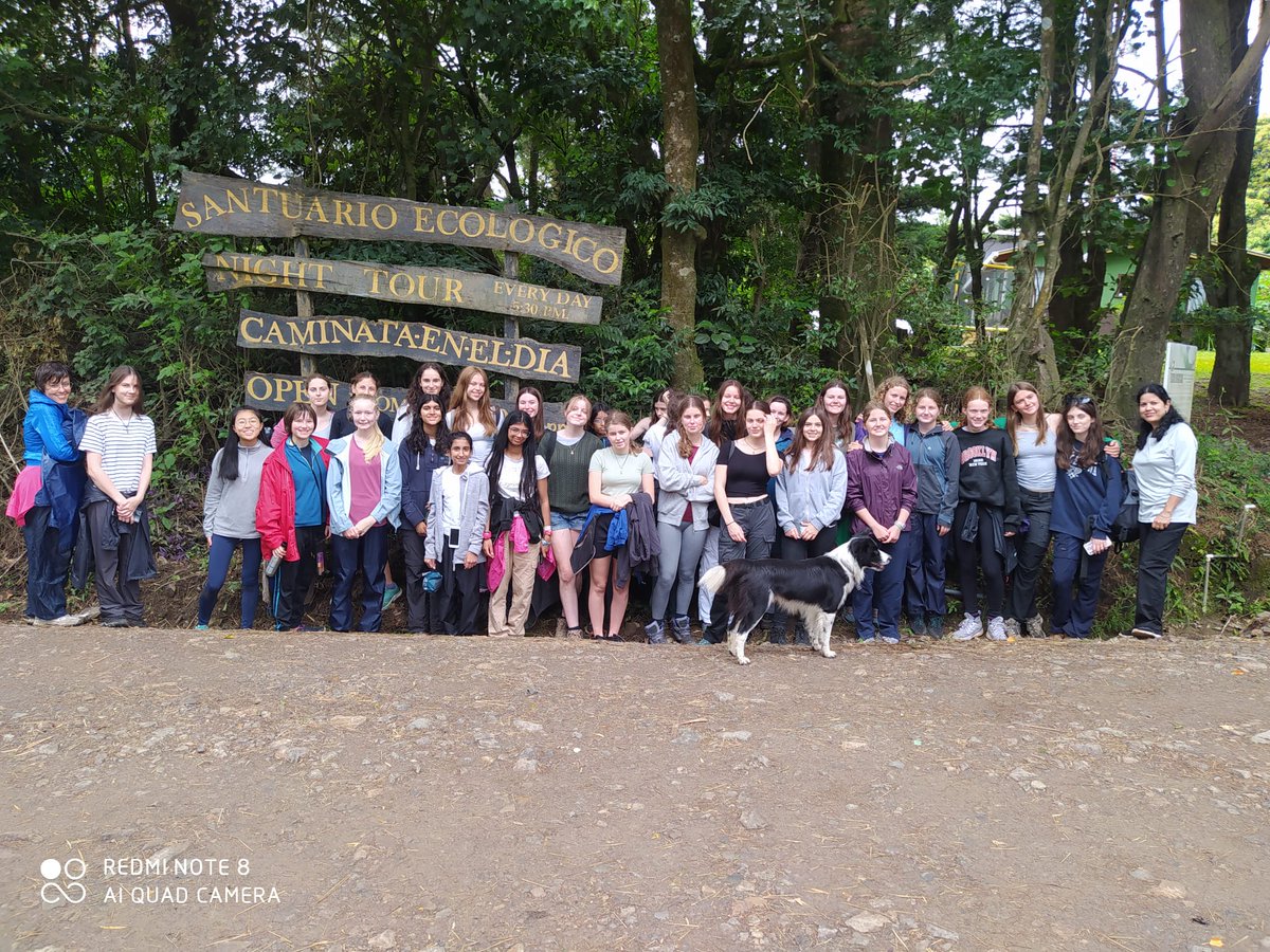 Tormead Biology tweet media