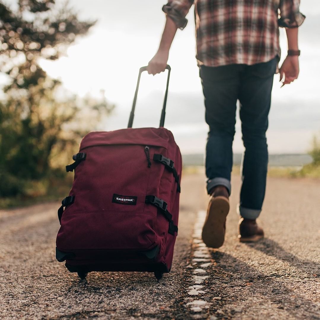 ValigeriaCiotti's tweet photo. Di strada insieme un trolley Tranverz S @eastpak ne farà veramente tanta! Con le sue ruote super scorrevoli e la robusta asta di traino bitubo viaggiare non sarà mai stato così confortevole!
#valigeriaciotti #since1957 #milano #eastpak #builttoresist #tranverz https://t.co/6k60qPXPR7