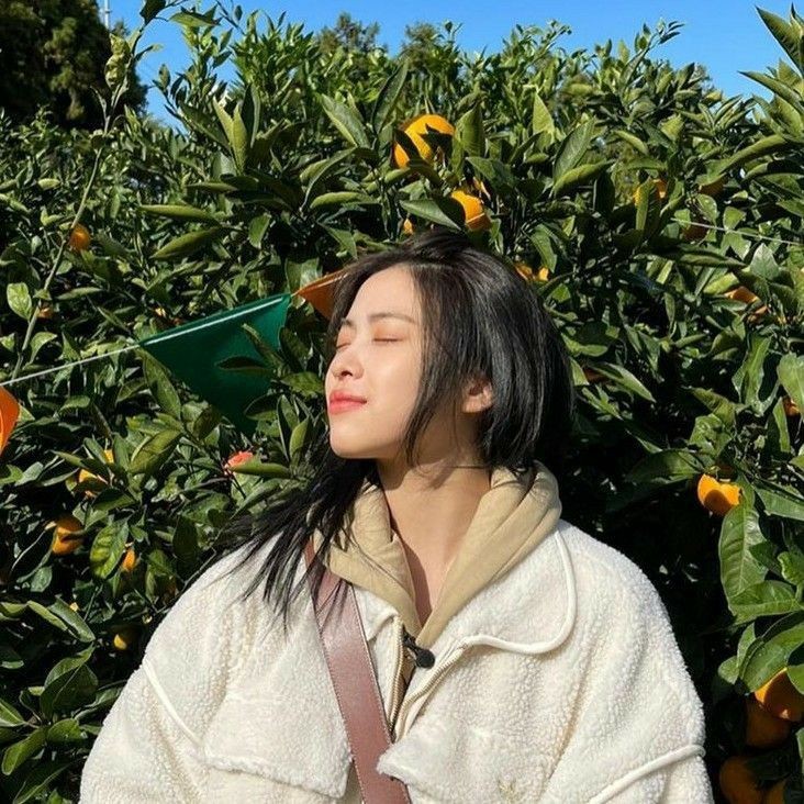 ɴɪɢʜᴛꜱꜱ ִֶָ࣪☾. tweet media