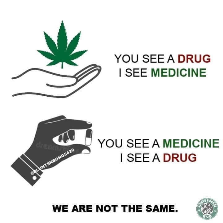 💨🍃 tweet media