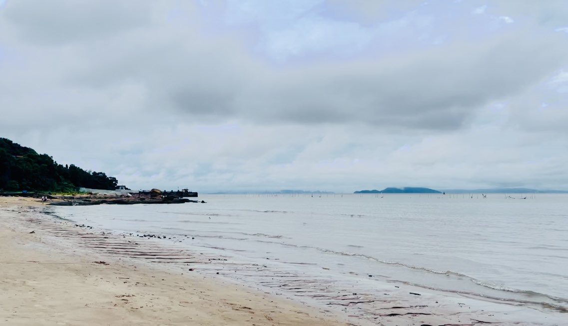 Discovering the World of Emerging Pollutants in Estuarine Environments! 🌱✨ Our latest editorial published in Frontiers in Marine Science delves deep into the occurrence, migration, and degradation of emerging organic pollutants (EPs) that pose risks to life and the environment.