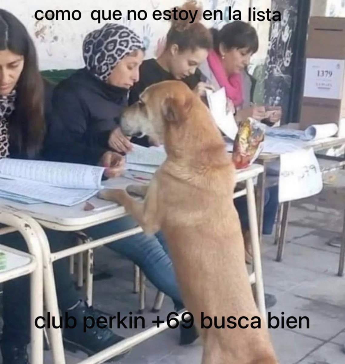 Out of Context Club Perkin (@perkinclub) on Twitter photo 