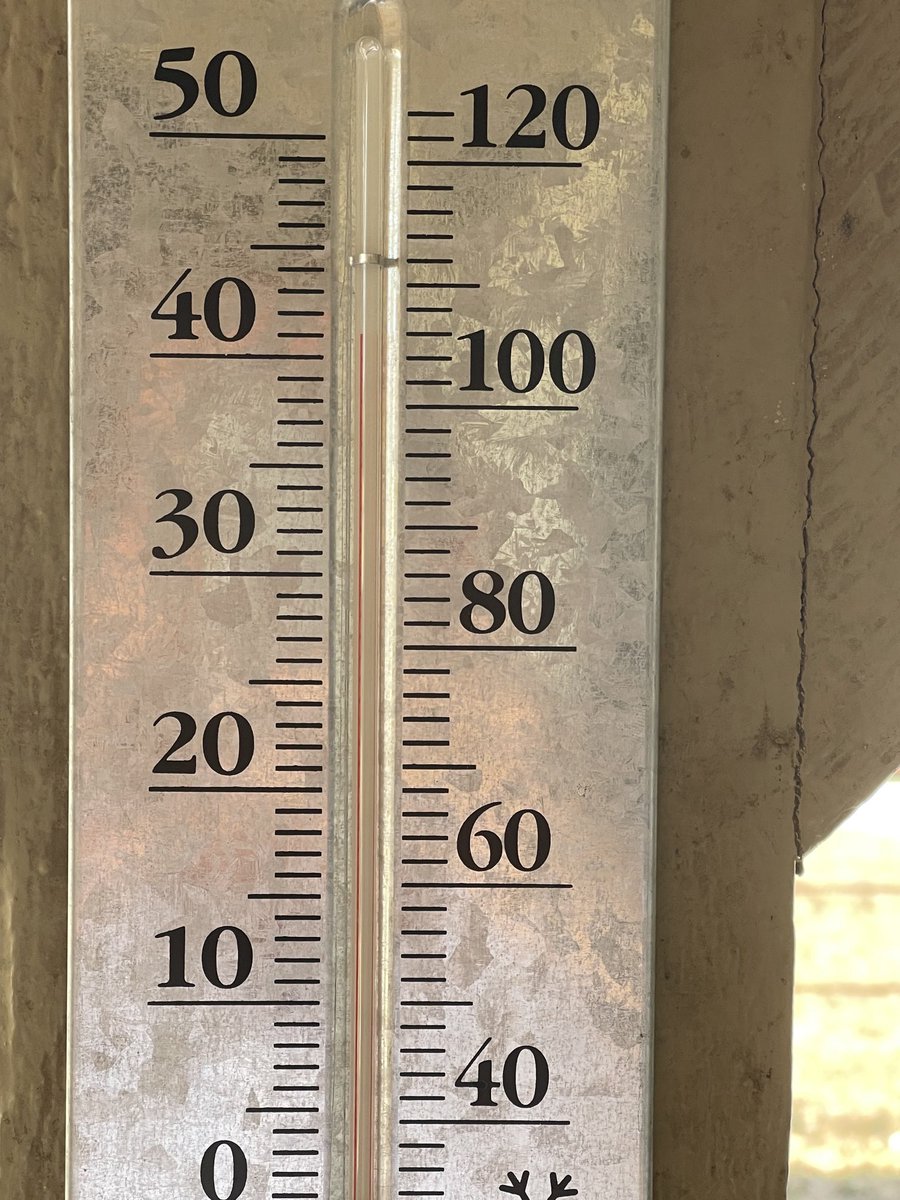 bpc441's tweet photo. Texas, in the shade https://t.co/X4D2R62aEh