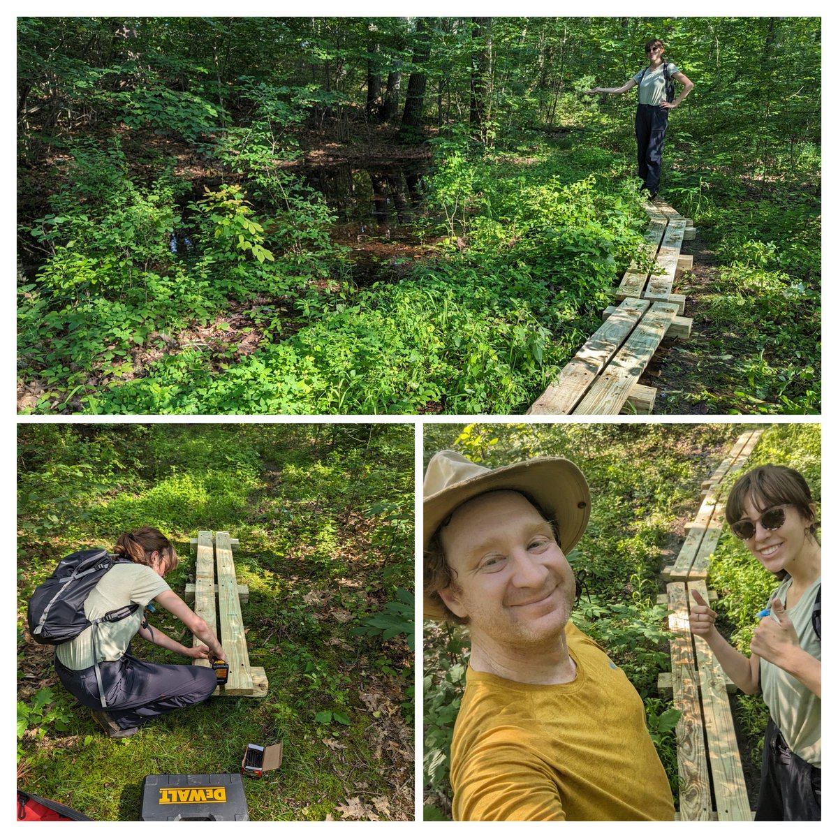 In preparation for Sat's #NativePlant Hike, @_TerraCorps_ 's Olivia &amp; <a href="/GWLandTrust/">GWLT</a>'s Colin installed three sections of bog bridging adjacent to a wildlife pool of frogs to help better protect the resource area! Come join the 9am hike and check them out! #Worcester #hikeworcester
