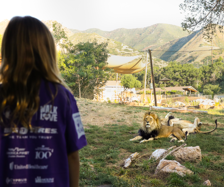 Join us for a walk on the wild side at our 9th annual Walk for LOVE!

The Walk will be at Utah's Hogle Zoo on Friday, September 15,  from 6:30 p.m. to 8:30 p.m., with a picnic dinner starting at 5. p.m. 

Register today at walkforloveslc.org 
Patients register for free!
