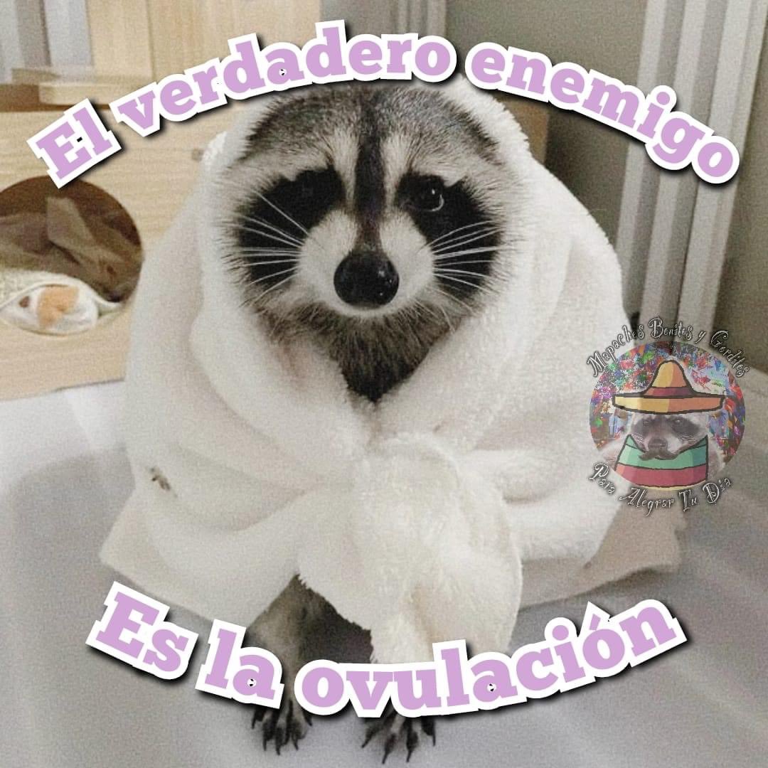 Asies