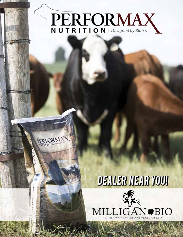 Just a reminder you can purchase your PerforMAX Animal Nutrition here at Milligan Bio! We stock a variety of products to suit your herds needs. For more information call 306 272 6284!