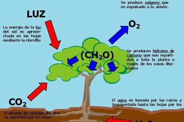 Juan García-Gallardo tweet media