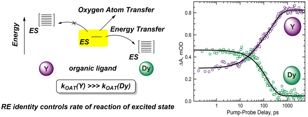 Looking for a beach read? Check out our latest pub, out now <a href="/J_A_C_S/">J. Am. Chem. Soc.</a>! Congrats to Kevin Ruoff <a href="/RuoffKevin/">Kevin Ruoff</a> and Ellen Song and our <a href="/NREL/">NREL</a> collaborators Melissa Gish <a href="/femtogish/">Melissa Gish, Ph.D.</a> and Andrew Ferguson <a href="/ajferguson78/">Andrew Ferguson</a>! pubs.acs.org/doi/10.1021/ja…