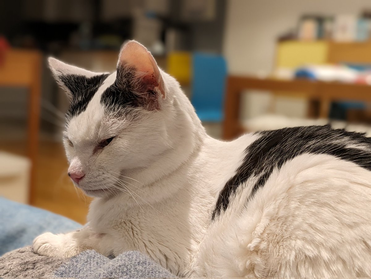 Simon Handby tweet media