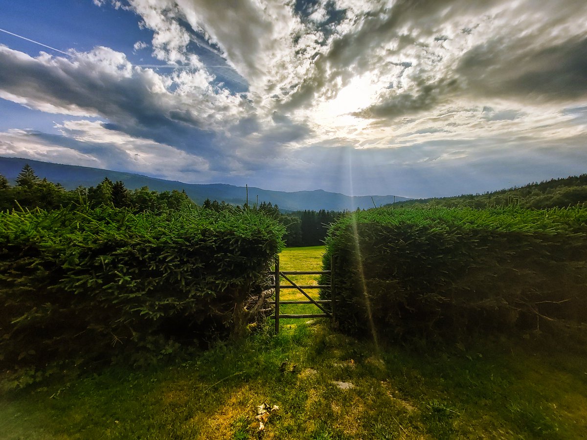 sonak_94's tweet photo. Odpoledne na Hojsově Stráži směrem na Ostrý ⛰️🌄
@sumavanet
#sumava #npsumava #sumavanet #welovesumava #fotimesumavu #hojsovastraz #CzechRepublic #nature #NaturePhotography #priroda #hory #lesy https://t.co/sNz110FHG3
