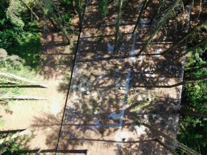RModlinger's tweet photo. All of the the active bark beetle attacked trees are away from the roof #EXTEMIT-K https://t.co/MJcnQWZgXN