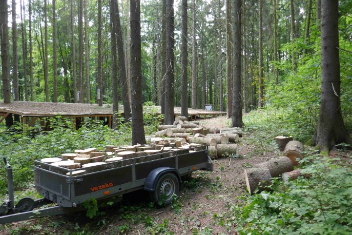 RModlinger's tweet photo. All of the the active bark beetle attacked trees are away from the roof #EXTEMIT-K https://t.co/MJcnQWZgXN