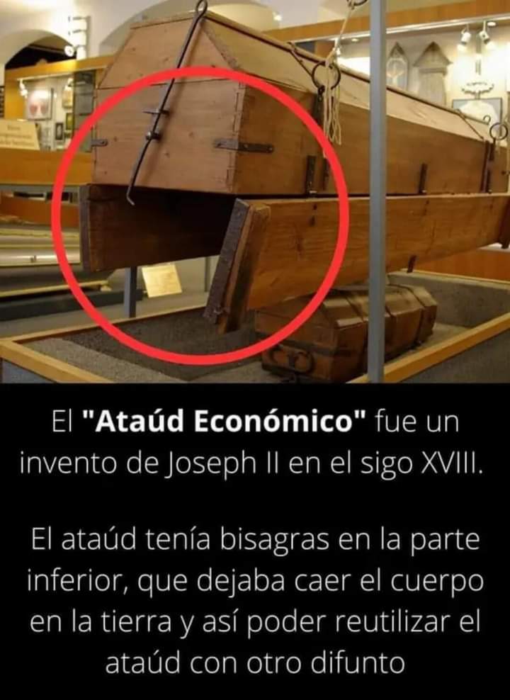 StephASecas tweet media