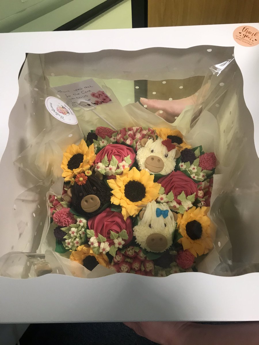 Team OPD tweet media