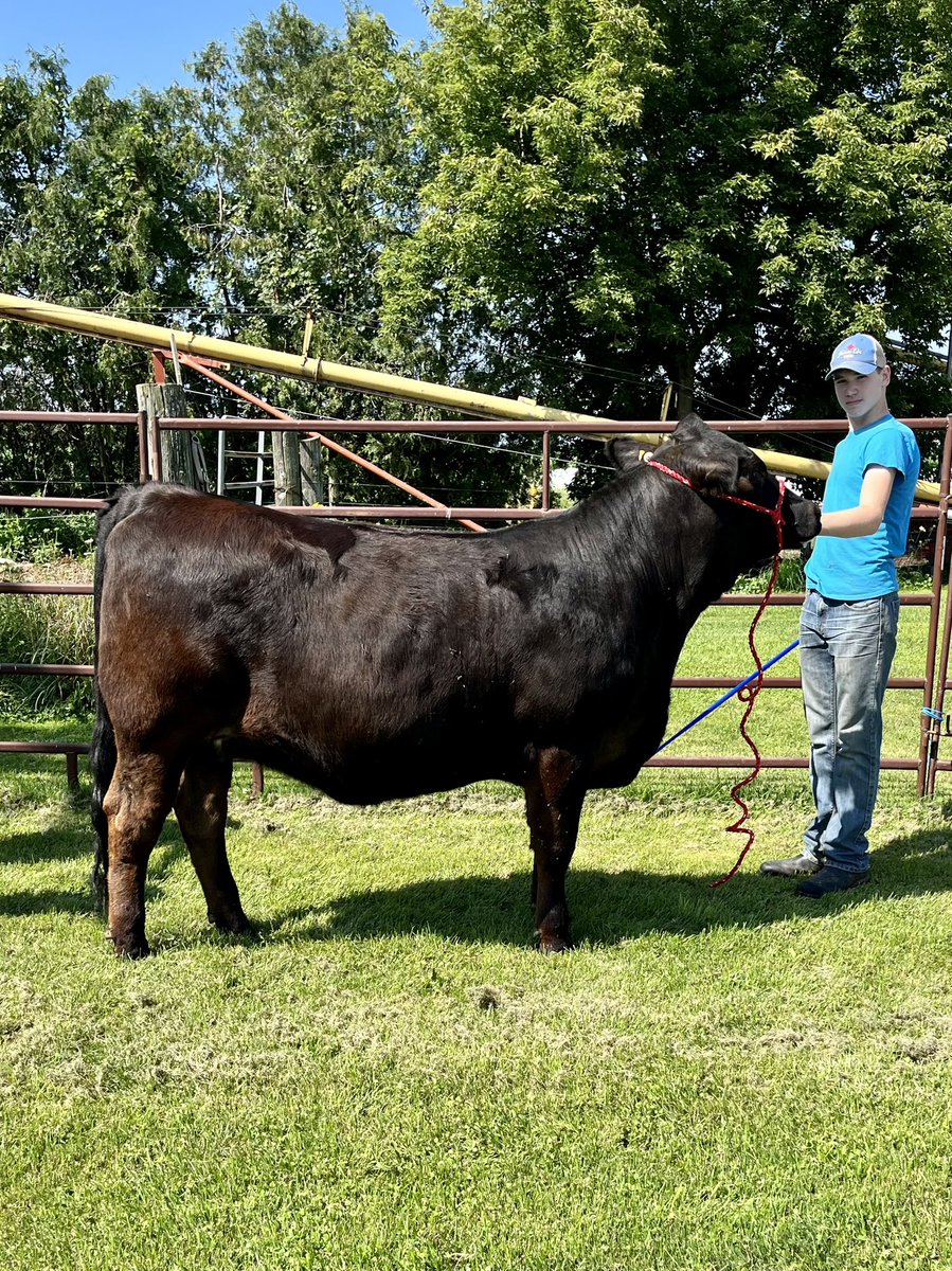 Bee Zee Acres tweet media