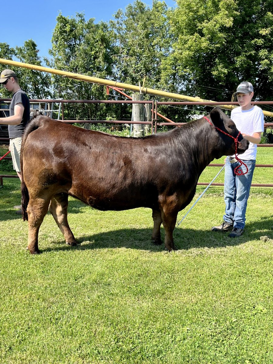 Bee Zee Acres tweet media