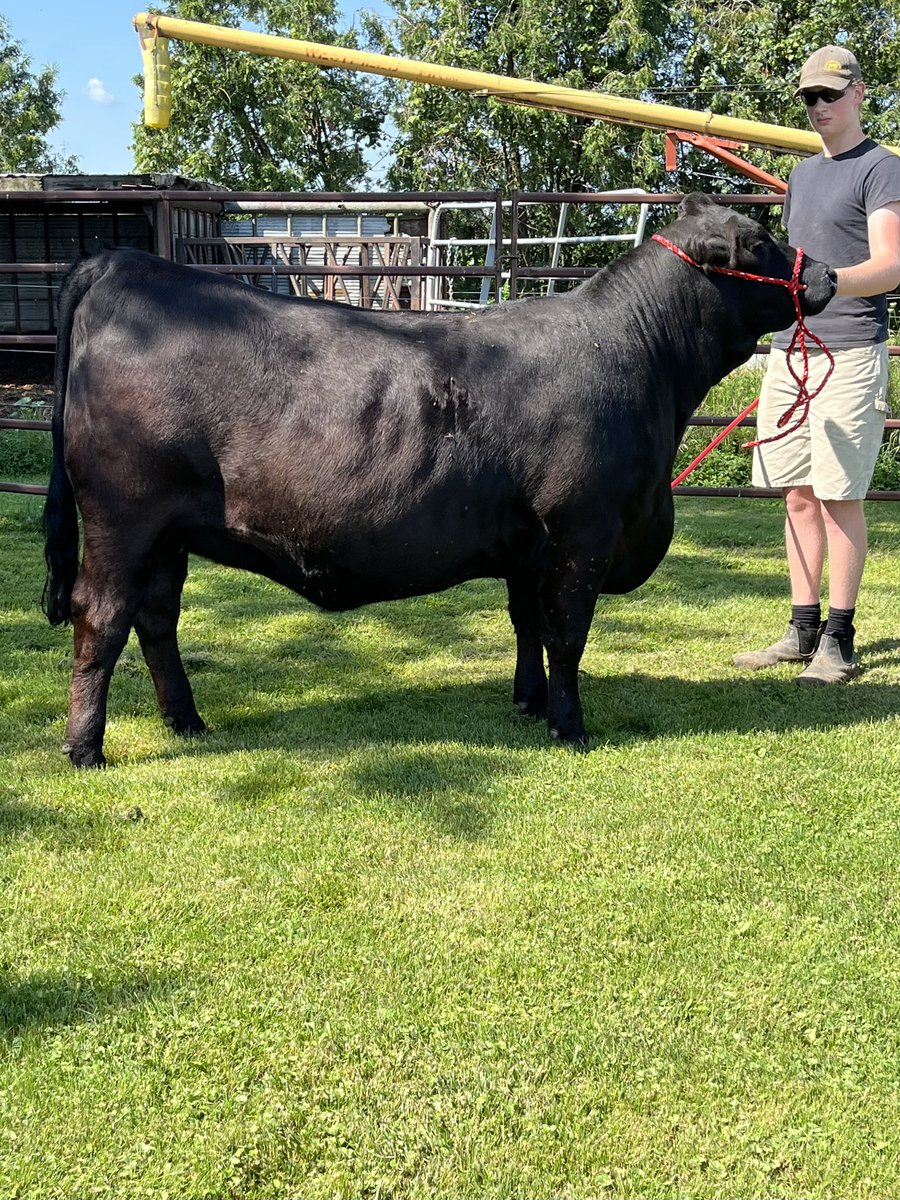 Bee Zee Acres tweet media