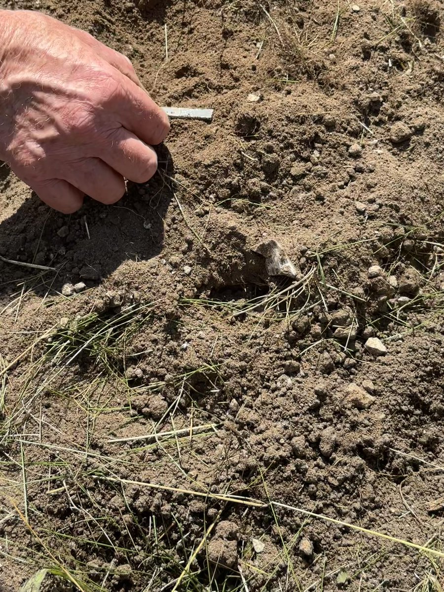 norfolkiwi's tweet photo. Incredible @aylshamhigh work experience - George has an amazing week at Warham Camp Iron age archeological dig. The ‘Magnet of Truth’ confirms location of the forge by detecting soil with iron particles, from spear making perhaps! Incredible enthusiasm and knowledge from George. https://t.co/MFCZvDzZwd