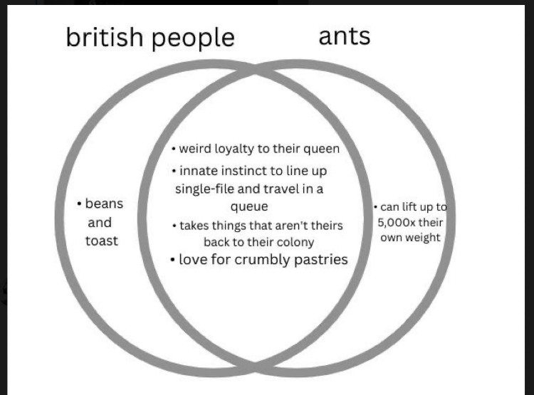 Jelz Fitness tweet media