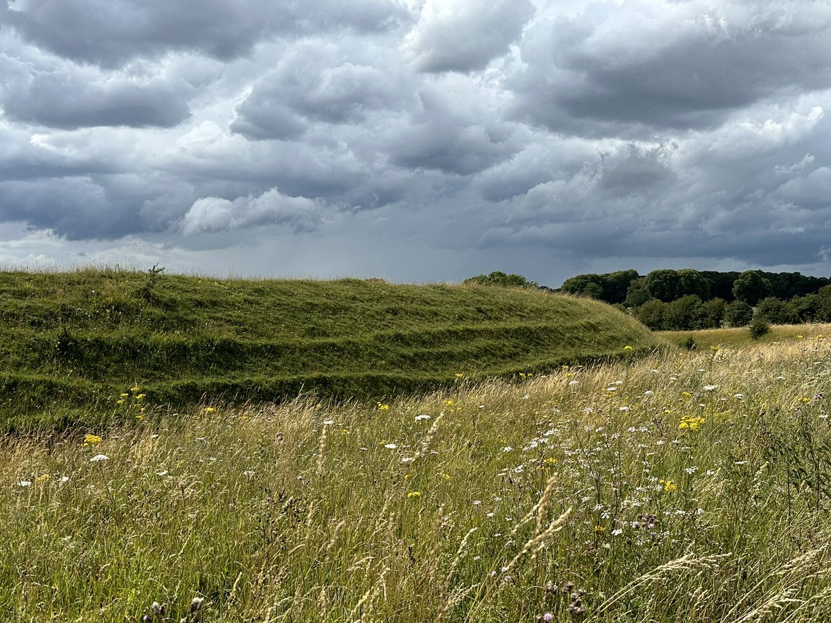 norfolkiwi's tweet photo. The archeologists and Detectorists had just done a ‘Gold Dance’ (bronze) before I arrived - if you know, you know #thedetectorists https://t.co/9ZCsNZMSdP