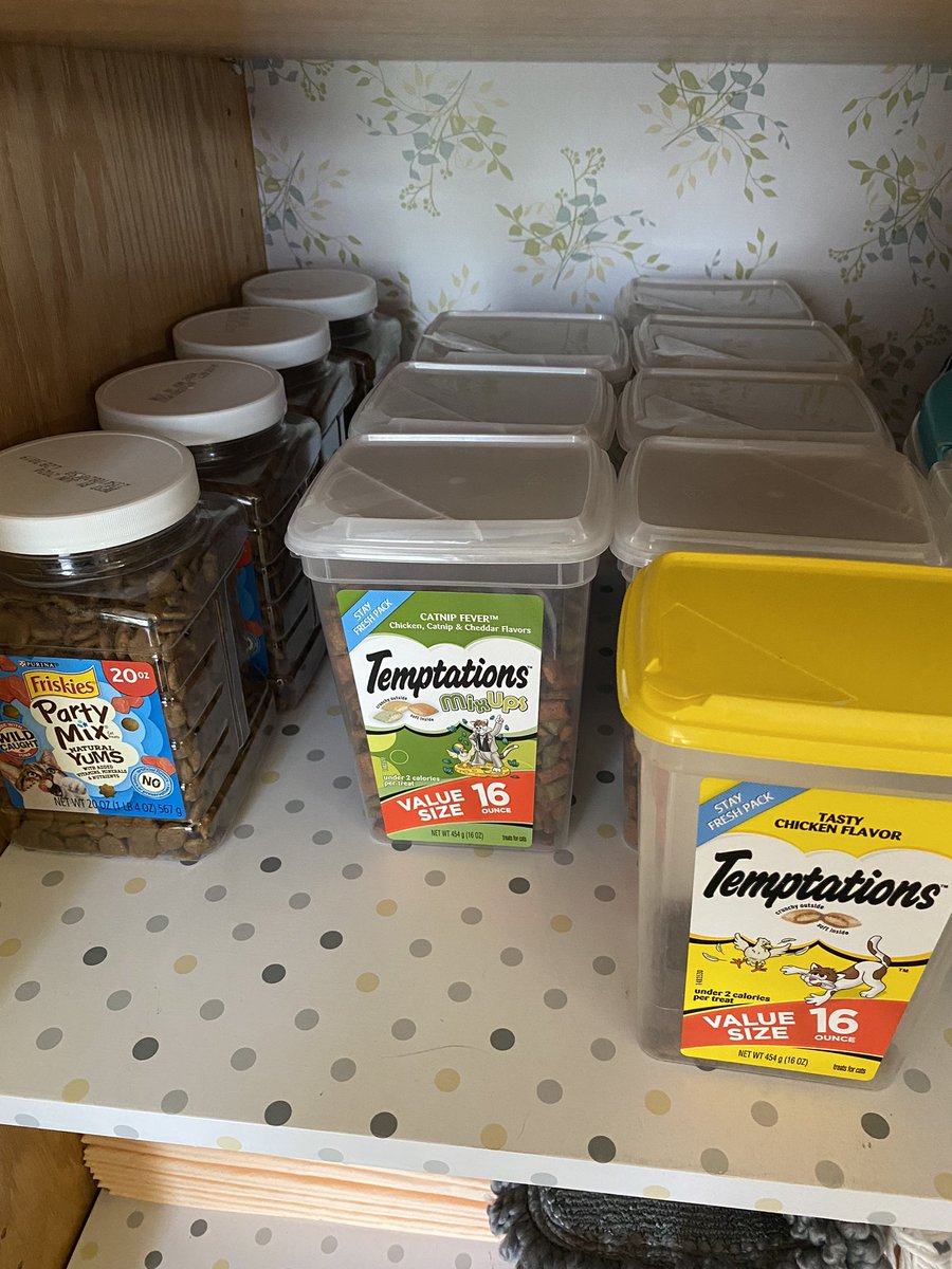 thecatnipfairy's tweet image. Was there anything else good on #PrimeDay? I got the essentials 😂