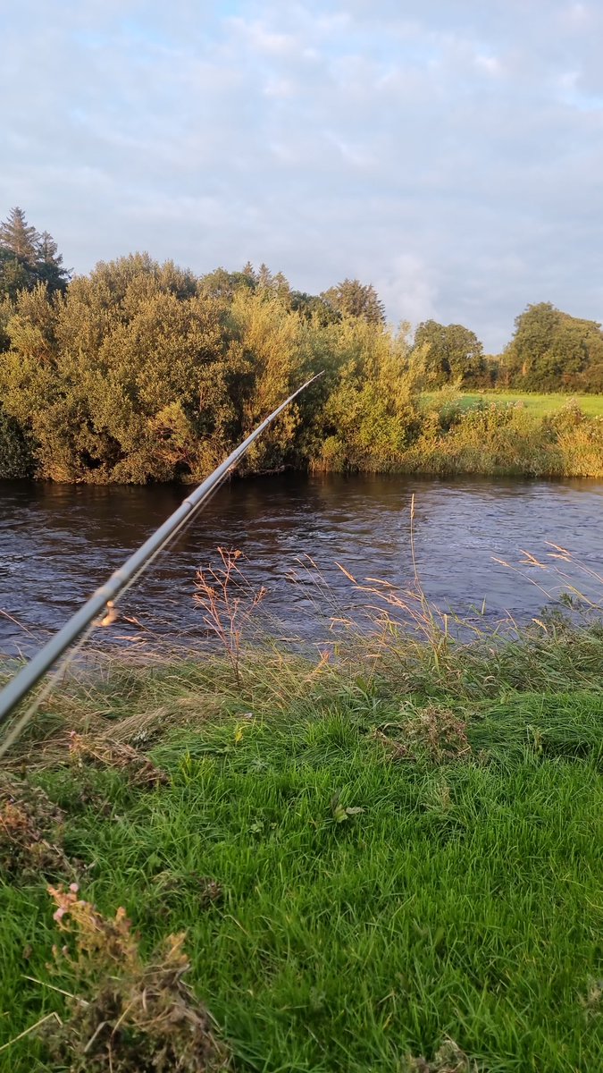 Ferrybryan's tweet image. Sadly the river didnt oblige this evening.Didnt as much as even see a fish move.I saw more Bailiffs than fish☺️.5 bailiffs on the stretch this evening, like seriously???