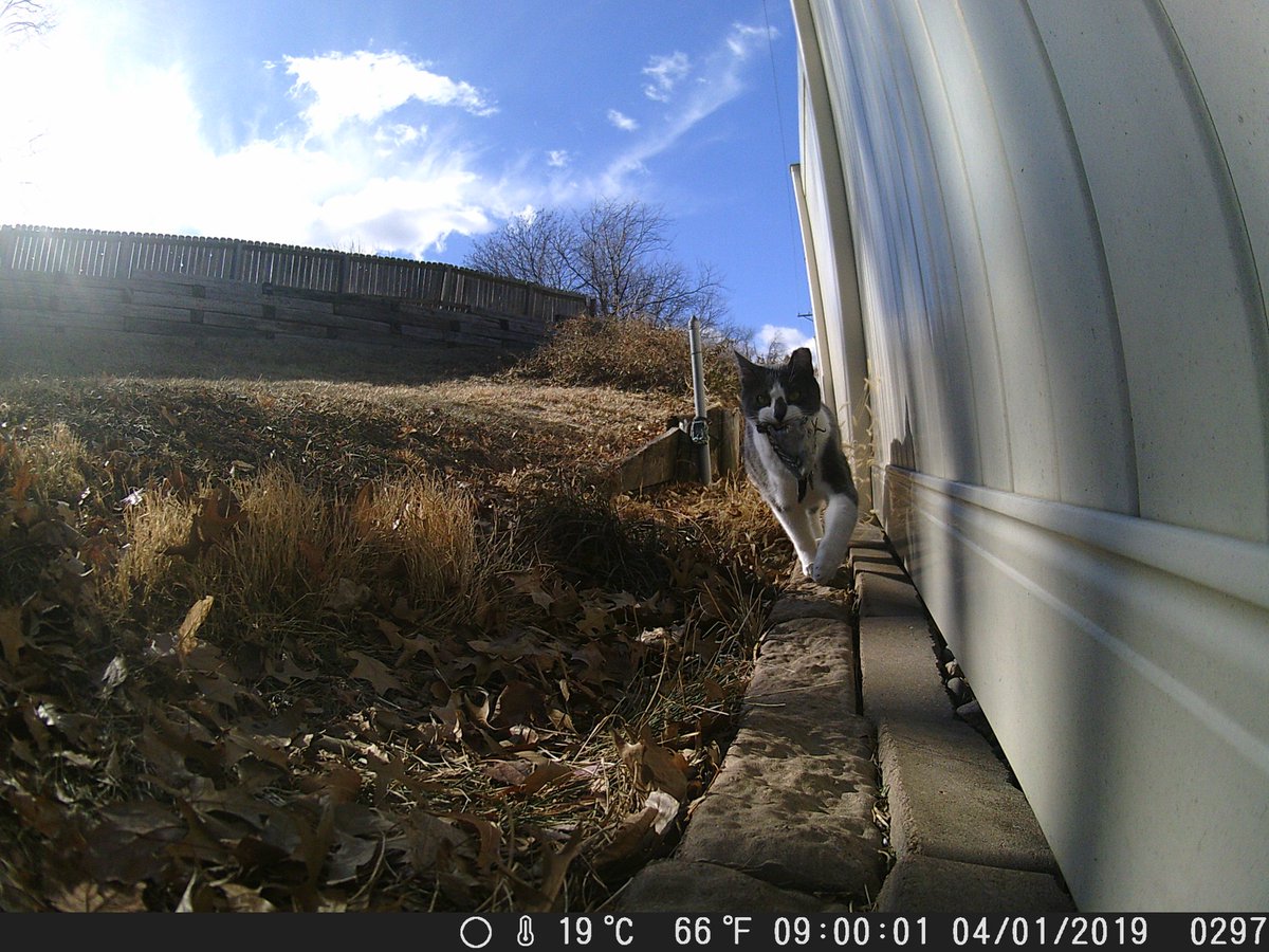 🦕 thegaminghyena 🦖 on Twitter "Well, since I've been arguing with