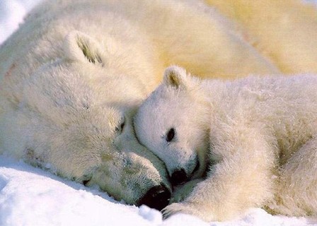 <a href="/Violet_Isak/">💜Anggie🖤</a> Good night Violet 😘😘😘🌼🌼🌼