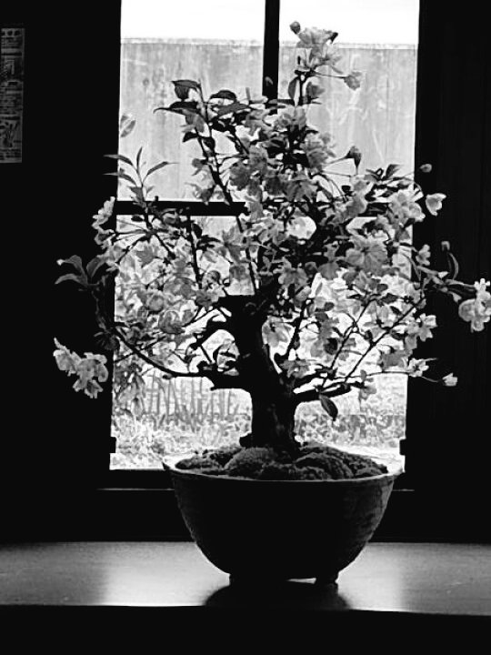 満ちる月を想ふ

morning♫