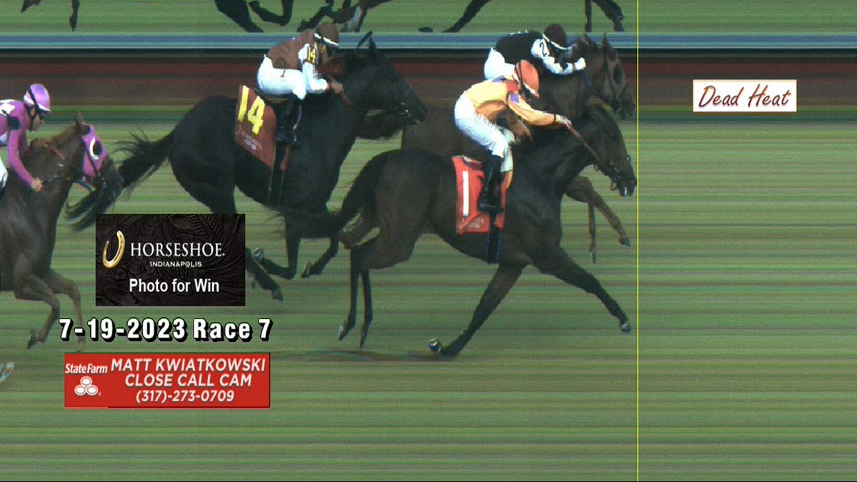 TVG on Twitter "Too close to call! The official 📸 photo for the Race 7