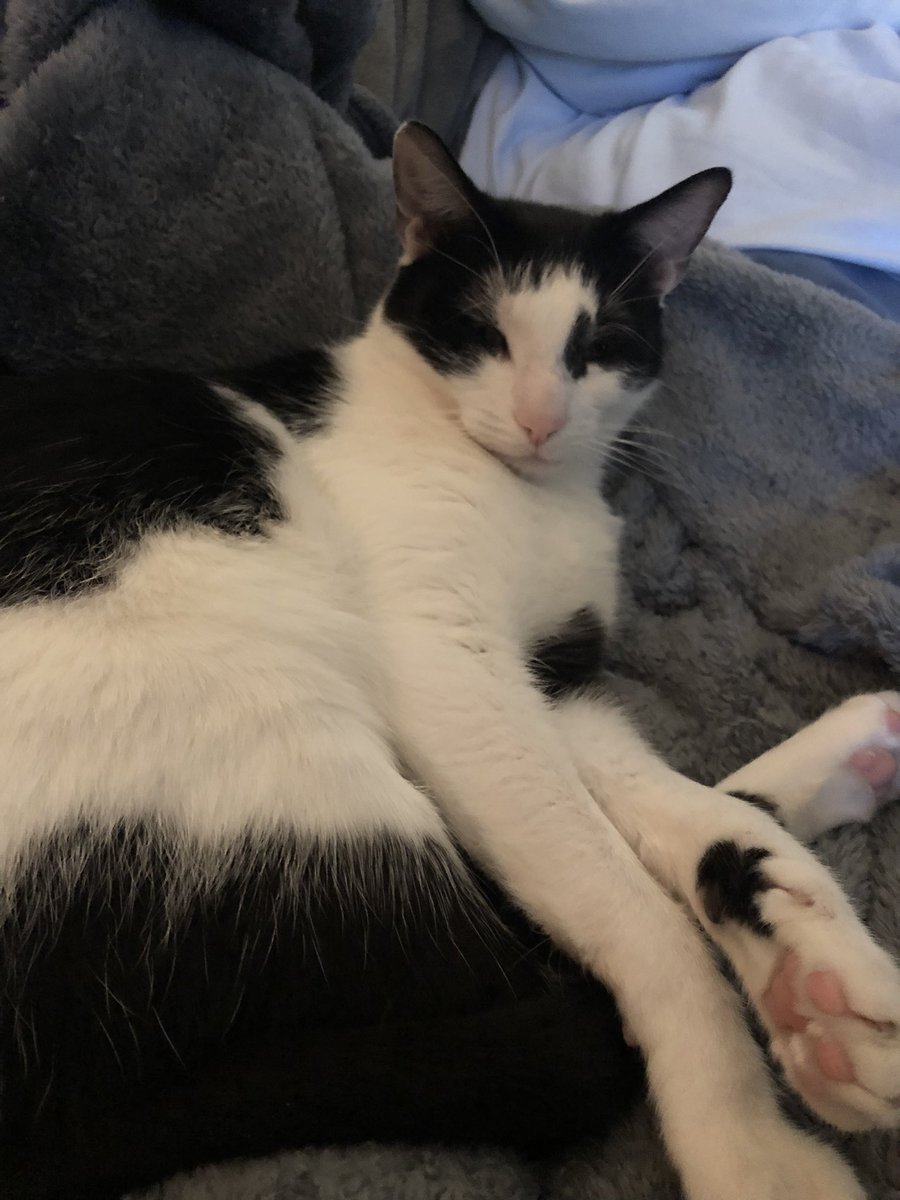 Are his legs to long??? 😳😳😳🫣 serous answers only plzzz