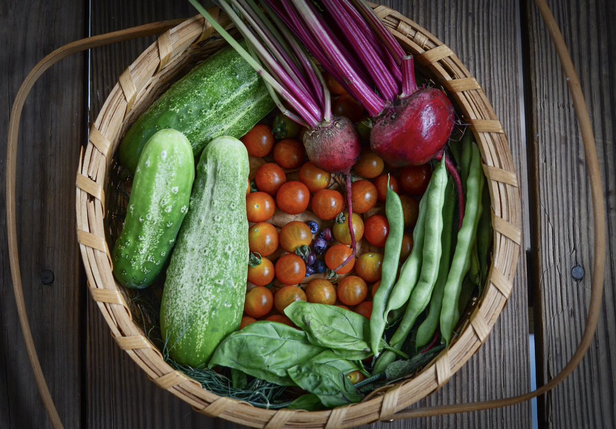 ChiefDeleono's tweet photo. Yesterdays Harvest 🧑🏾‍🌾 https://t.co/QMbAay9J8H