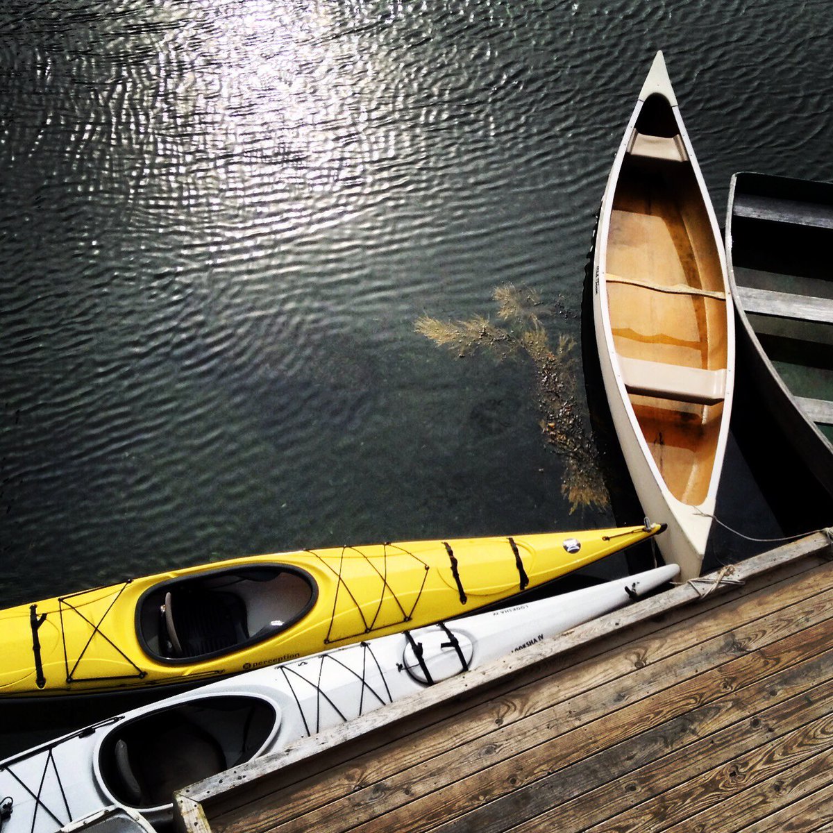 ASpiritualFaith's tweet photo. Take hold of the oars and decide where you want to go. https://t.co/LopQKDCbOW