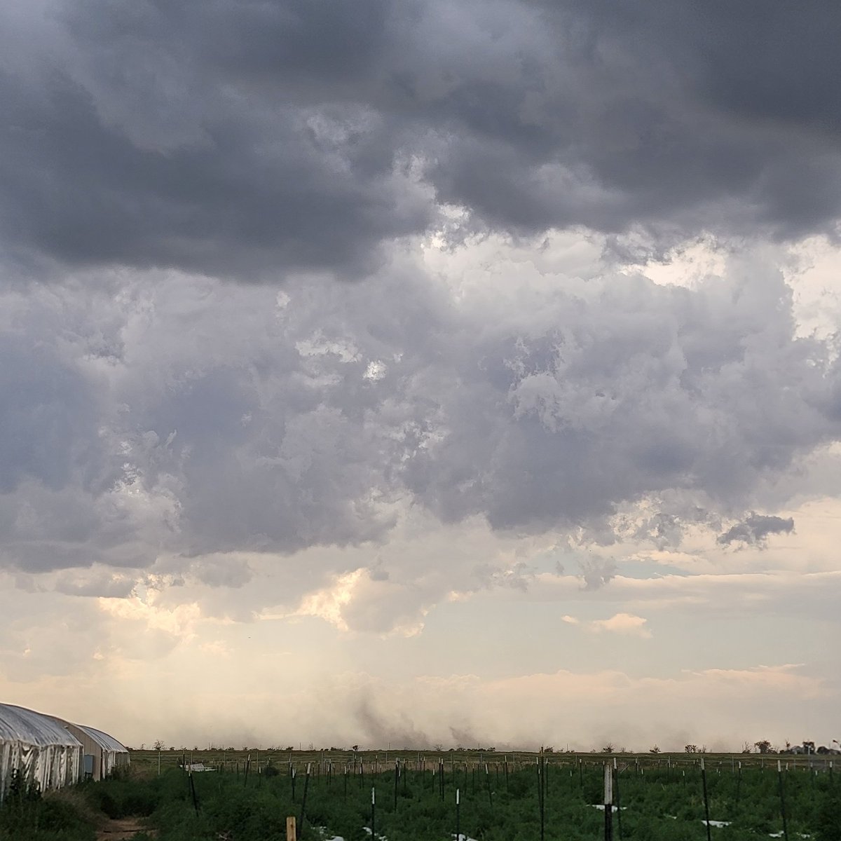 needitshareit's tweet photo. #Cowx  uplift near ordway https://t.co/CzQl0G7Y6q