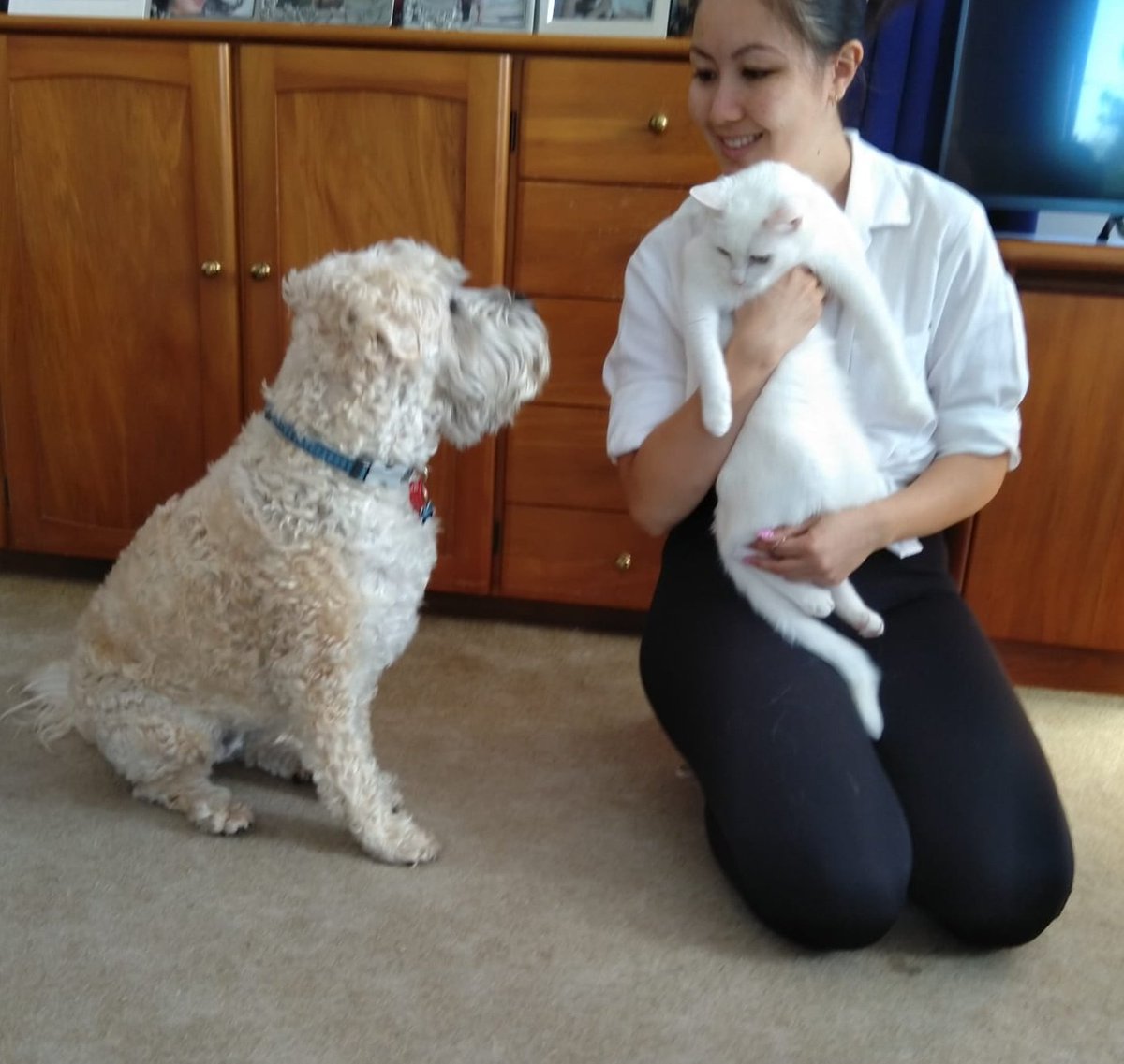 GenGenMeow's tweet photo. @jsmnndrsn @REasther I could cast a vote for which baby to bring in. https://t.co/Qj2Qy1gf0u
