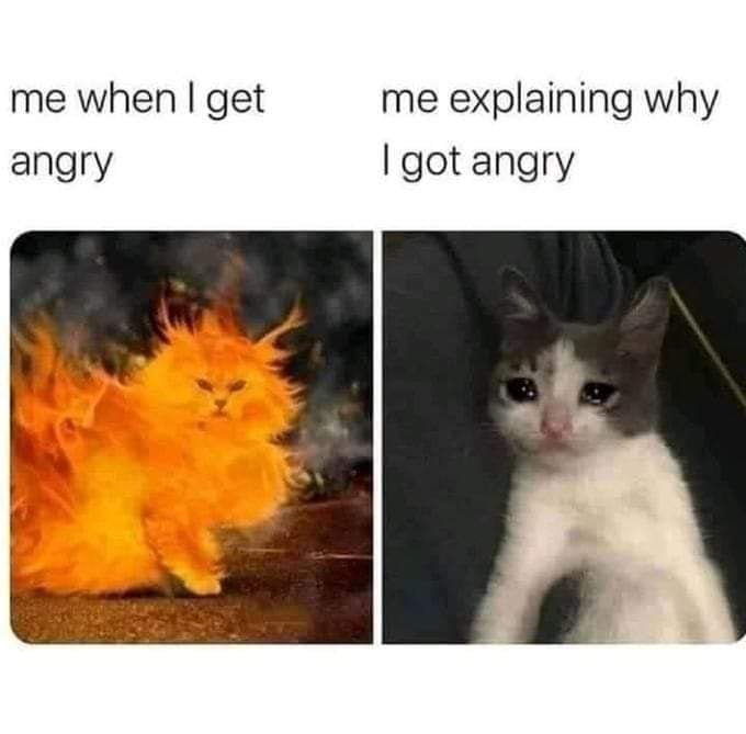 mabellina79's tweet photo. #bad #day #crazy #week .... hey I tried 🤣🤣 https://t.co/erhWpS5oLO