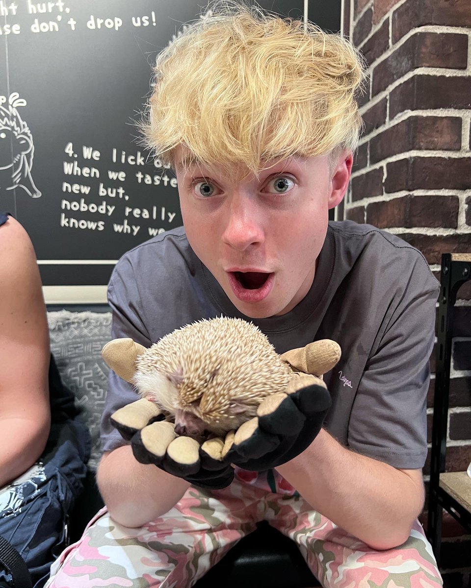 SamGolbach's tweet photo. tokyo = new favorite place on earth 🇯🇵 https://t.co/AyY15DFfPU