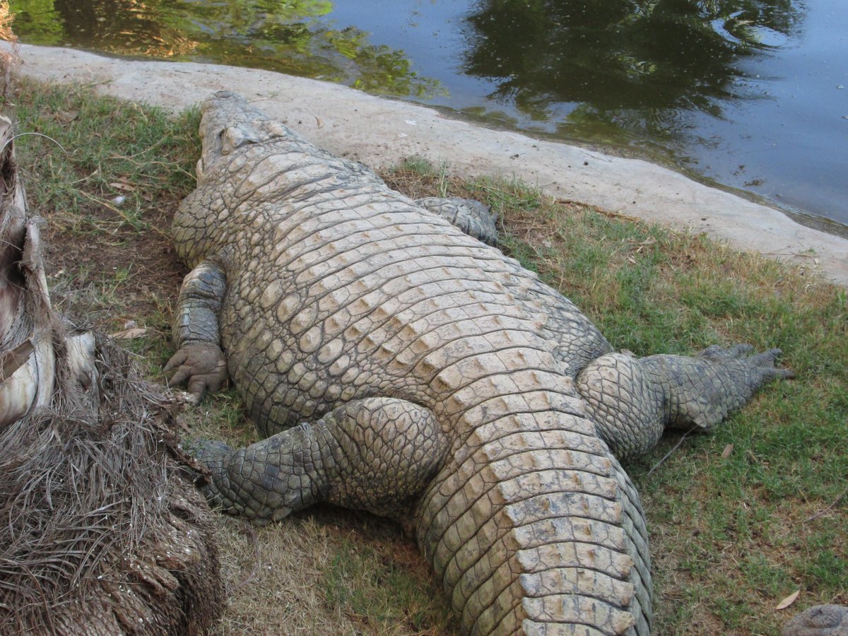 GatorsDaily's tweet photo. Holy- https://t.co/U4EC1XDSsN