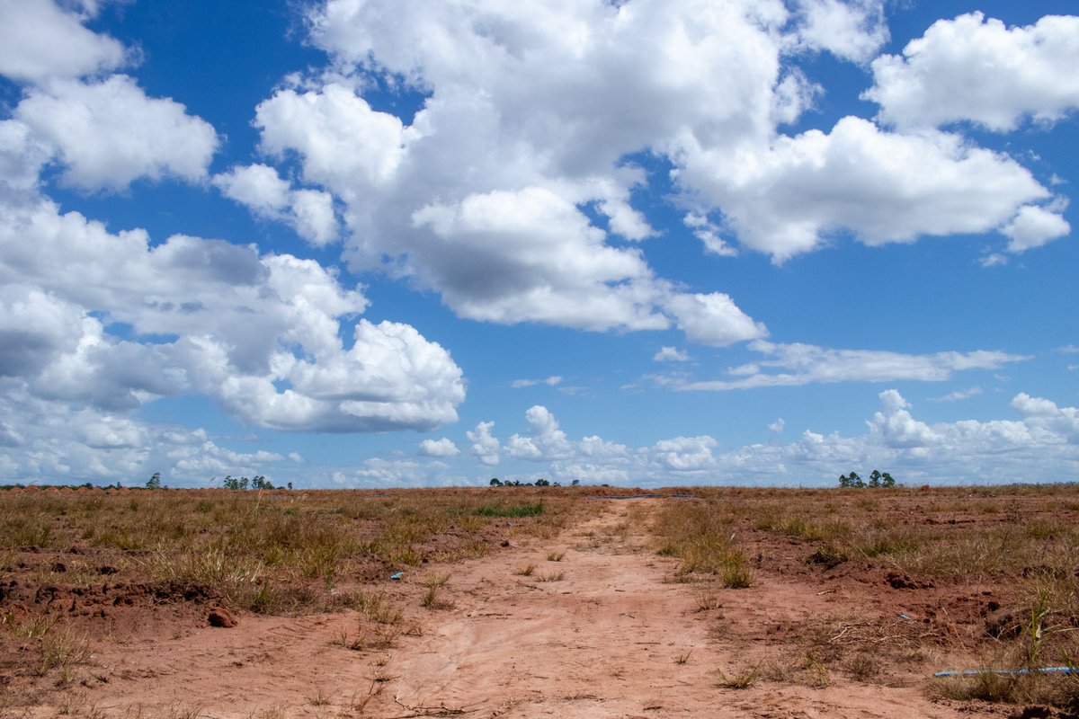 Um lado e outro da estrada. Um, a Reserva Biológica de Sooretama, que protege uma Mata Atlântica de riqueza e singularidade especiais. O outro, uma propriedade fora da área da reserva. Um salve às unidades de conservação e todos que as protegem!