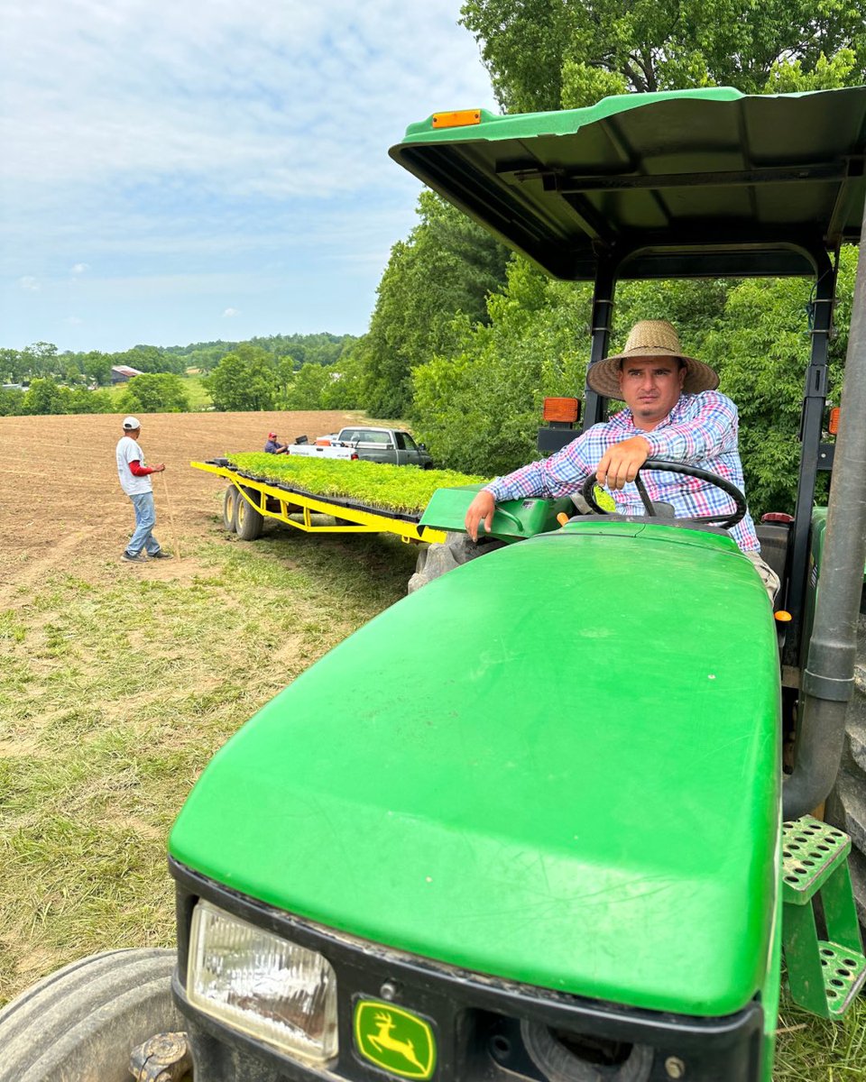 CornbreadHemp's tweet image. 🌱 Behind the scenes at our USDA certified organic hemp field in Kentucky!
.
#CornbreadHemp #VerticallyIntegrated #Transparency #FullSpectrum #FlowerOnly #ThirdPartyTested #USDAOrganic