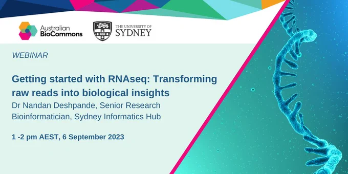 Australian BioCommons are hosting a webinar at 1 pm on the 6th of September 2023, where Dr Nandan Deshpande, Senior Research Bioinformatician at the Sydney Informatics Hub will talk about Getting started with RNAseq: Transforming raw reads into biological insights